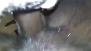 مطمئن سیکسی موی ، اتارنا fucking سیاہ سفید بلی