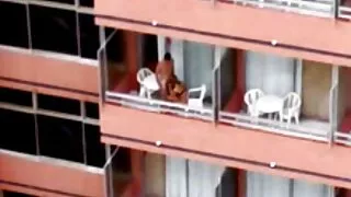 گاڑی میں سیکسی چت پرجوش جنسی تعلقات جوڑے