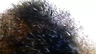 گھر فحش نوجوان لڑکی انڈین سیکس جاںگھیا میں