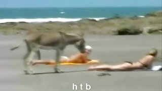 داخلہ میں
