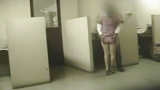 سی ساس
